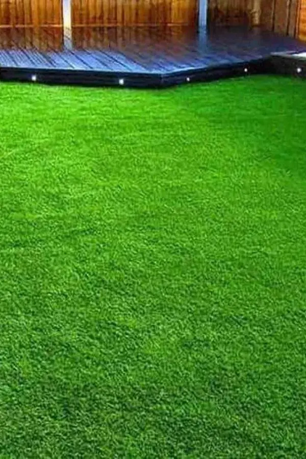 grass carpets Dubai