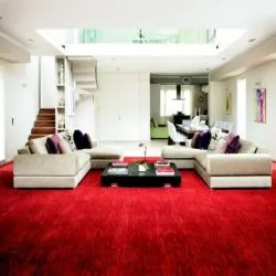 red living room carpets