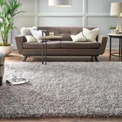 shagg living room carpets