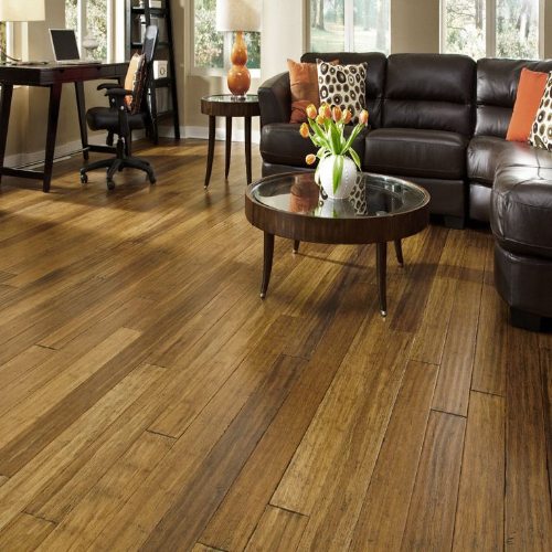 Cork Bamboo Flooring