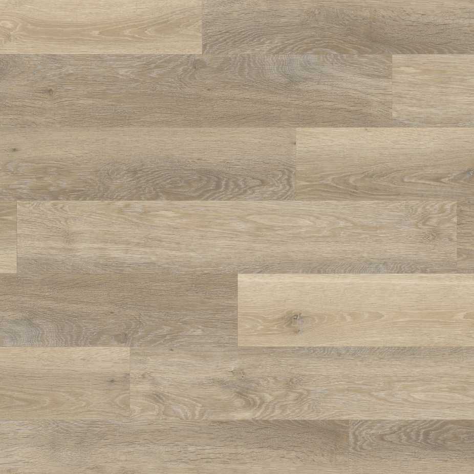 LVT 00923