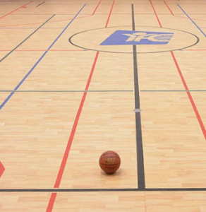 Vinyl Sports Flooring