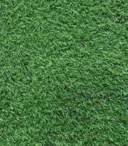 Prime Grass