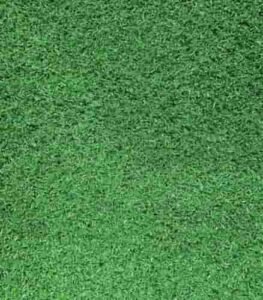 Garden Grass