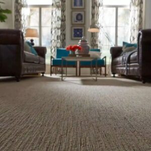 Loop Pile Wall To Wall Carpet