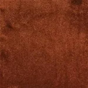 Rust-150248