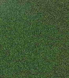 Sports Grass