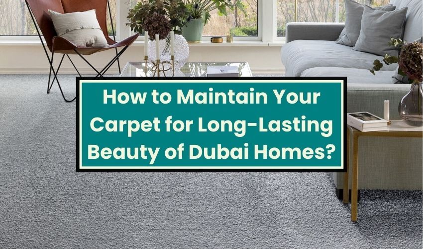 How to Maintain Your Carpet for Long-Lasting Beauty of Dubai Homes